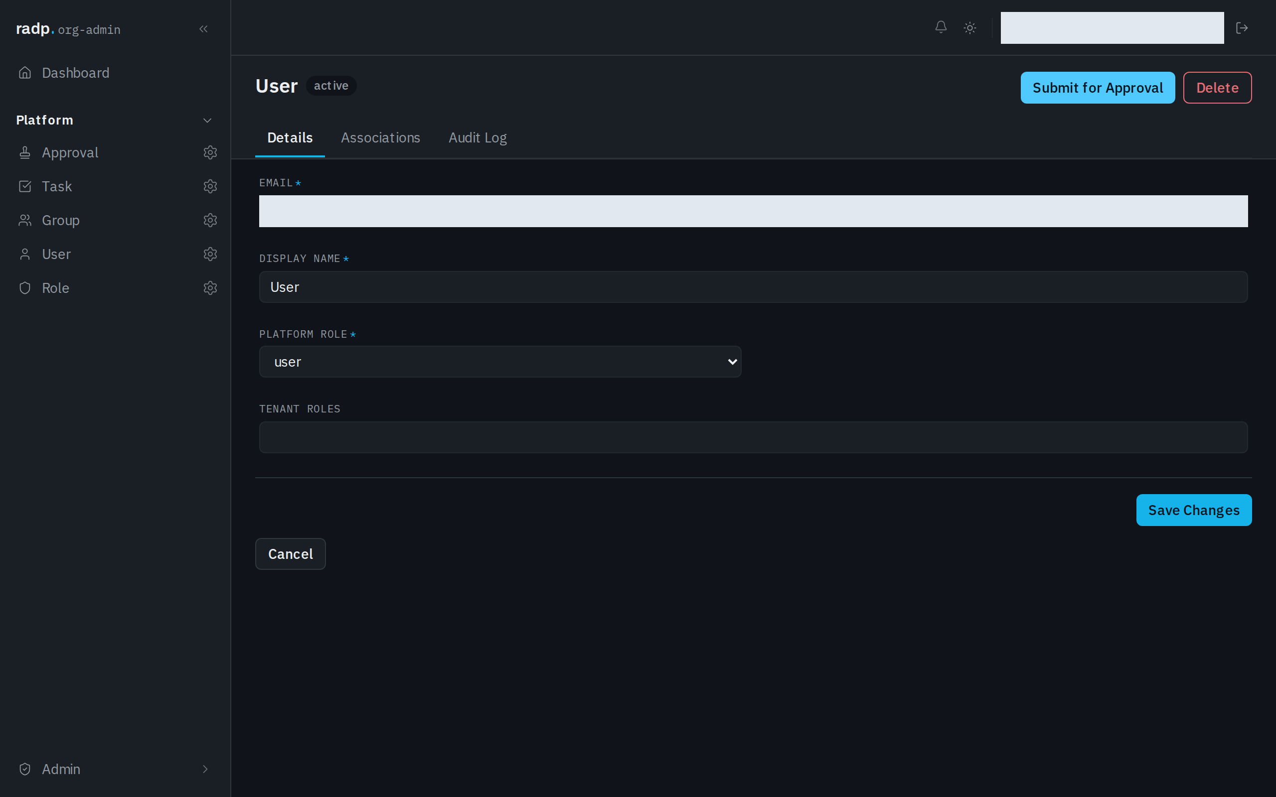 A record open for editing, with Save Changes and Cancel